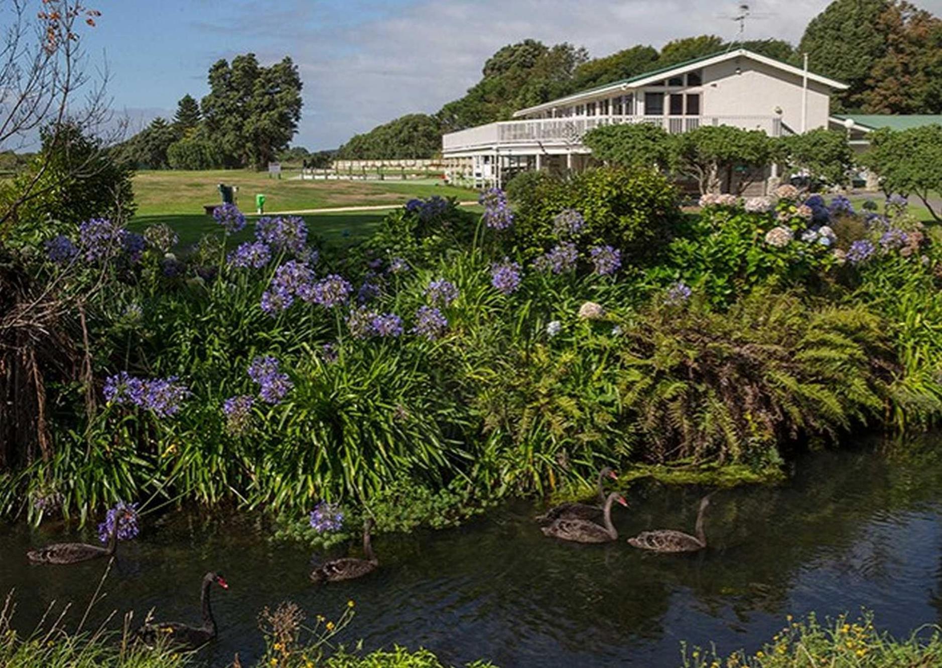 Waikanae Studio B&B Exterior foto
